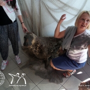 fotorelacja